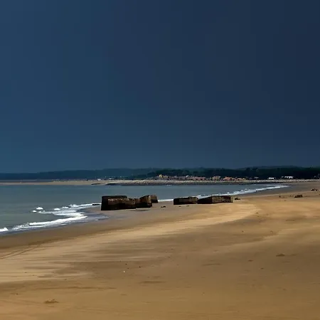 Studio Dunes aux Ecureuils Saint-Palais-sur-Mer Extérieur photo