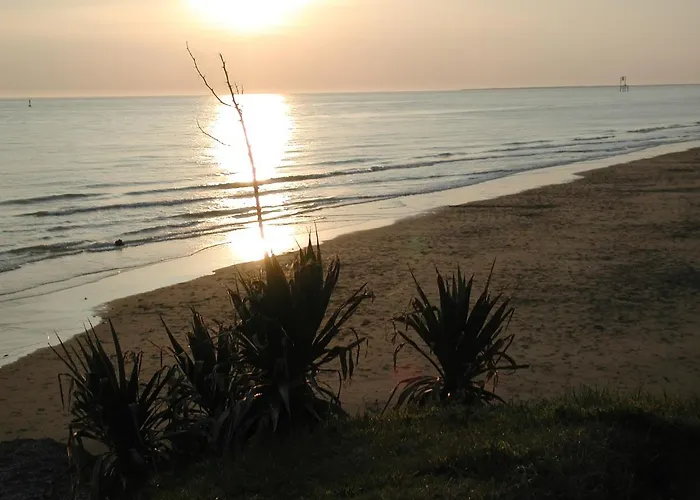 Studio Dunes Aux Ecureuils