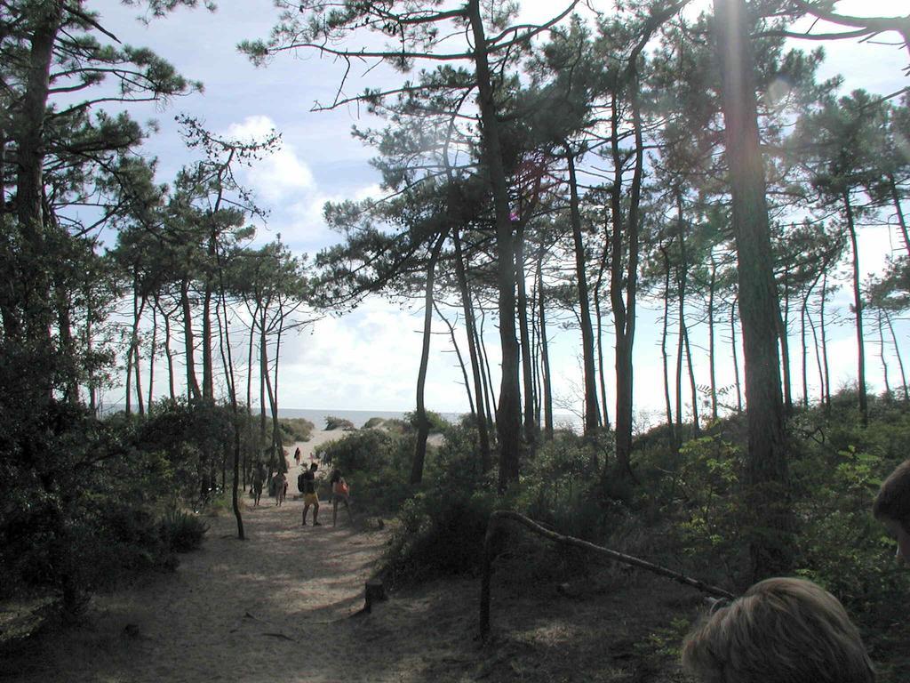 Apartment Dunes Aux Ecureuils *